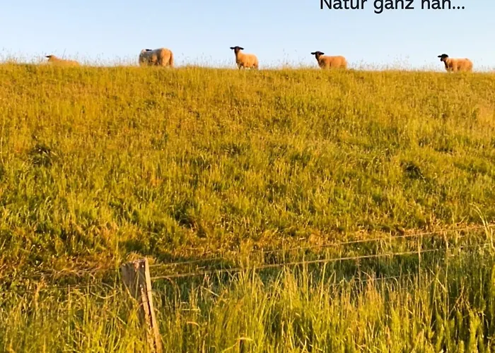 Leuchtfeuer Apartamento